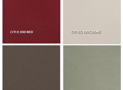 Dizaina stoel met kussen voor 1 persoon van 100% nieuwe Italiaanse leer