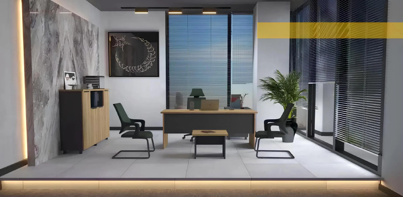 Moderne kantoor kast