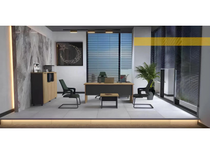Moderne kantoor kast