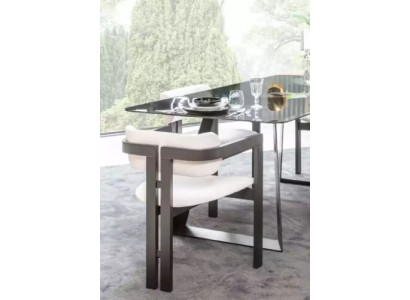Eetkamerstoel Stoel Armstoel Ontwerp Eettafel Zit Hout Luxe Wit