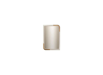 Wandspiegel Spiegel Decoratief Modern Ontwerp Woonkamer Meubels Nieuw