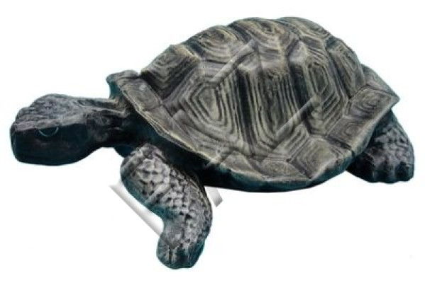 Ontwerp Fang Figuur Tuin standbeeld Sculptuur Figuren Sculpturen Decoratie Deco Nieuw