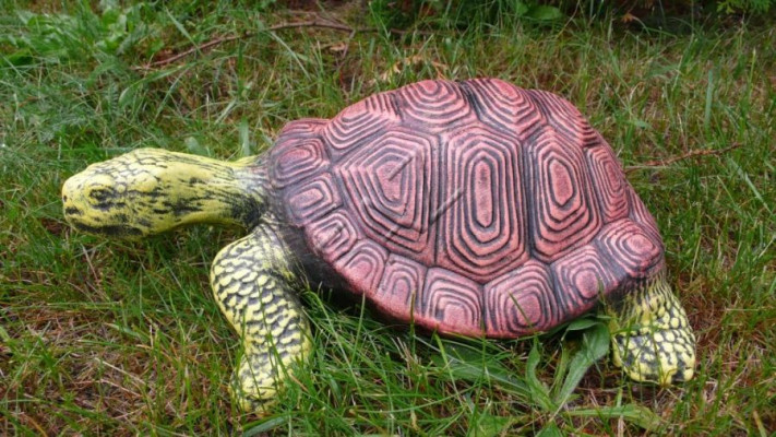 Ontwerp Schildpad Figuur Standbeeld Sculptuur Figuren Sculpturen Tuindecoratie Nieuw