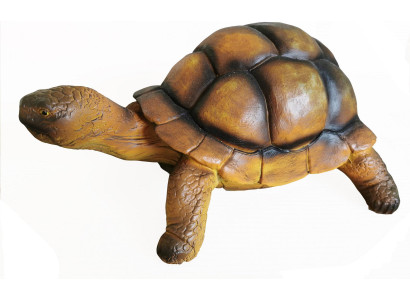 Schildpad Zoo Tuin Dier Figuur met de hand beschilderd Beeld Decoratie Standbeeld Decoratie