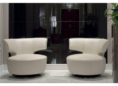 Fauteuil Design Bankbank Bank Zitter Lederen Lounge Club Bekleding Luxe Oren