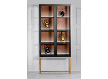 Vitrine kasten Vitrine kast Hout Glas Meubels Ontwerp Woonkamer Glazen kast