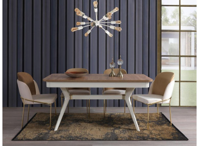Compleet set eettafel 4x stoelen eetkamerset eetgroep hout 5-delig