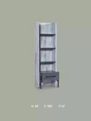 Boekenkast Kast Boekenkasten Kasten Multifunctioneel meubilair Bruin 165x49x47