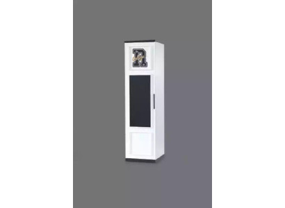 Regaal kast Boekenplank Kasten Multifunctioneel meubilair Bruin 171x45x40