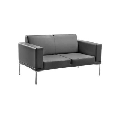 Grijze kantoorstijl 2-zits designerbank van kunstleer bankstellen 2-zits