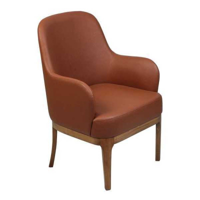 Bruine woonkamer fauteuil ontwerper single luxueuze fauteuil stoelen.