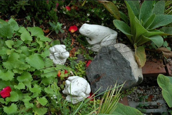 Tuindecoratie Kikker Terras Steen Figuren Beeld Decoratie Standbeeld