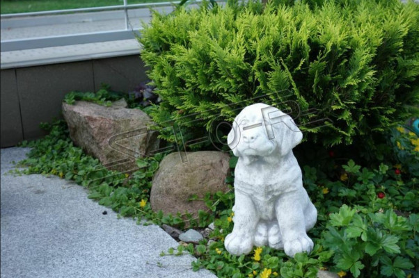 Tuindecoratie Hond Terras Steen Wit Figuur Figuren Decoratief Standbeeld