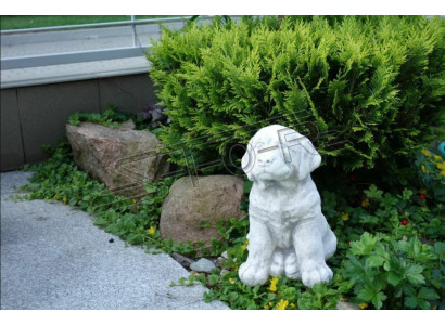 Tuindecoratie Hond Terras Steen Wit Figuur Figuren Decoratief Standbeeld