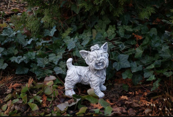 Tuindecoratie Hond Wit Terras Steen Figuren Decoratief Standbeeld Figuur