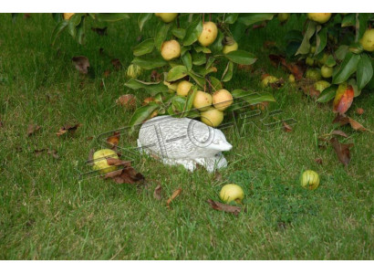 Tuindecoratie egel terras stenen figuren figuur decoratie standbeeld.