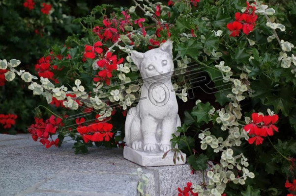 Tuindecoratie Kat Decoratief Terras Steen Figuren Figuur Standbeeld