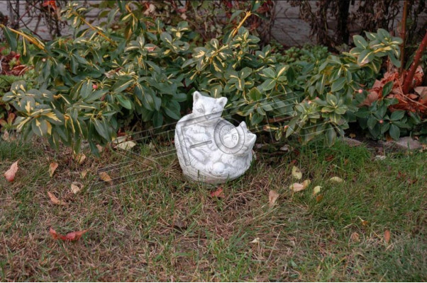 Tuindecoratie Kat Terras Steenfiguren Figuur Decoratief Standbeeld