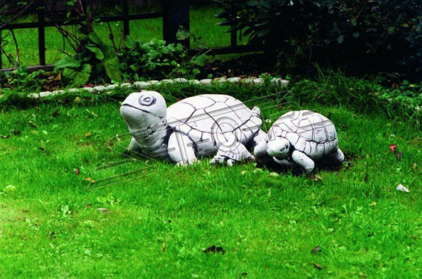 Tuindecoratie Schildpad Terras Steenfiguren Decoratiestatuut
