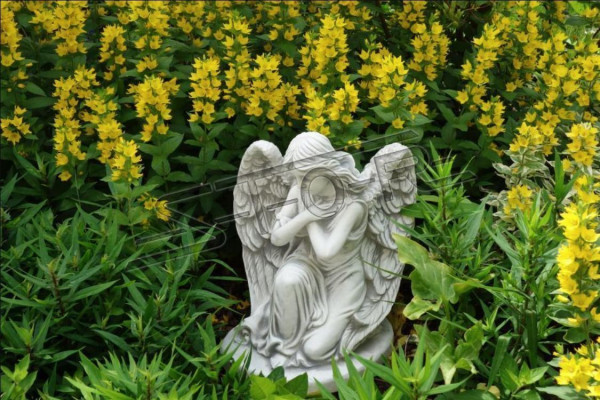 Grafversiering Grafsteen Decoratie Engel Beeld Sculptuur God Heilig 36cm Onmiddellijk
