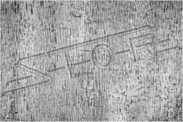 Bank Zitbank Terras Tuin Stille hoek Betonnen zitbank Meubels