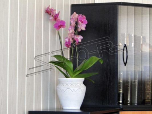 Bloemenmand Figuren Bloemenvaas Standbeeld Vaas Tuin Terras Decoratie