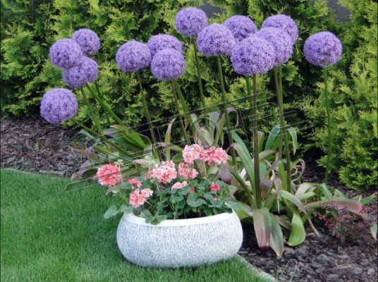 Bloempot Natuur Planten Pot Decoratie Tuin Vazen Figuur Bloempotten
