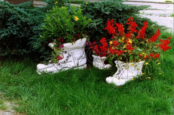 Bloempot Planter Decoratie Beeld Natuur Bloempotten Tuin Vazen