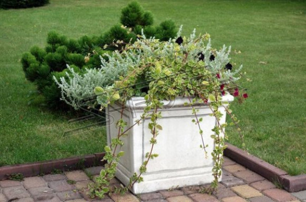 Bloempot plant pot decoratie figuur vazen tuin natuur bloempotten