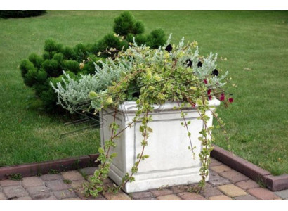 Bloempot plant pot decoratie figuur vazen tuin natuur bloempotten