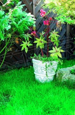 Bloempot Plantenbak Decoratie Natuur Figuur Bloempotten Vazen Tuin