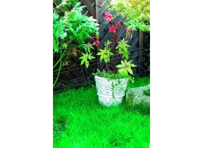 Bloempot Plantenbak Decoratie Natuur Figuur Bloempotten Vazen Tuin