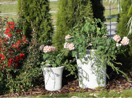 Bloempot Plantenbak Decoratie Vazen Tuinbeeld Bloempotten Natuur