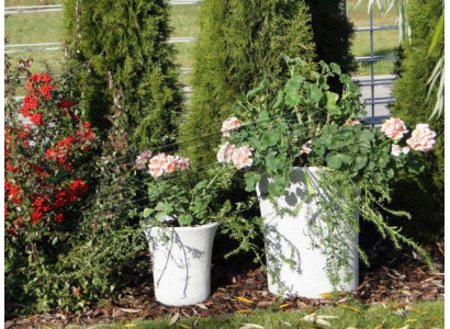 Bloempot Plantenbak Decoratie Vazen Tuinbeeld Bloempotten Natuur