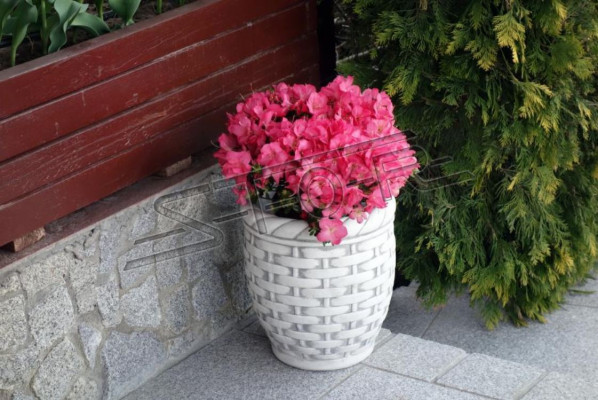 Bloempot Plant Pot Decoratie Vaas Figuur Natuur Tuin Bloempotten