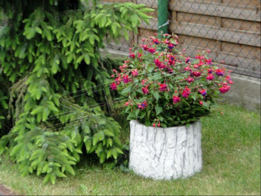 Bloempot Plantenpot Natuur Decoratie Vaas Tuinbeeld Bloempotten