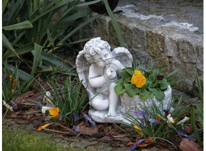 Bloempot Planten Natuur Pot Decoratie Tuin Figuur Vazen Bloempotten