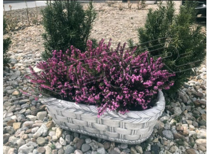 Bloembak plant natuur pot decoratie tuin vazen bloempotten figuur