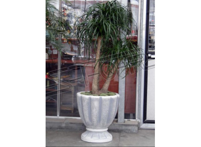 Bloempotten Doos Pot Bloemen Decoratieve Potten XXL Beton Tuin Terras