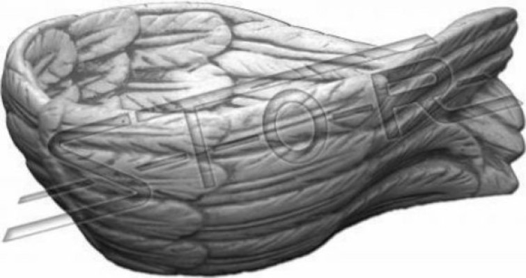 Decoratie vaten schalen schaal engel vleugel sleutel opslag.