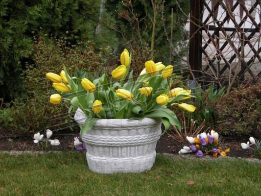 Ontwerp Bloempot Top Decoratieve Plantenbak Vaas Potten Figuur Gezicht