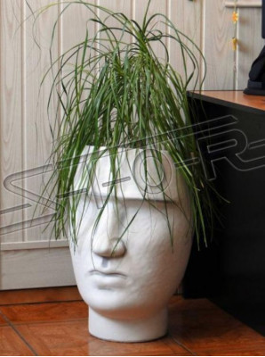 Ontwerp Bloempot Top Planter Deco Pot Figuur Potten Gezicht Sculptuur
