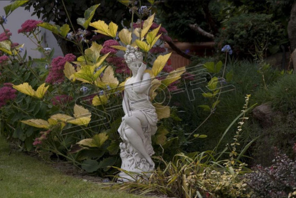 Eva Beeld Ontwerp Figuur Standbeeld Tuin Beelden Standbeelden Sculpturen.