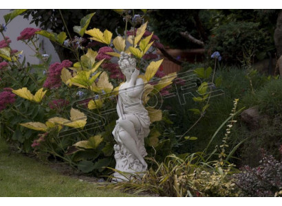 Eva Beeld Ontwerp Figuur Standbeeld Tuin Beelden Standbeelden Sculpturen.