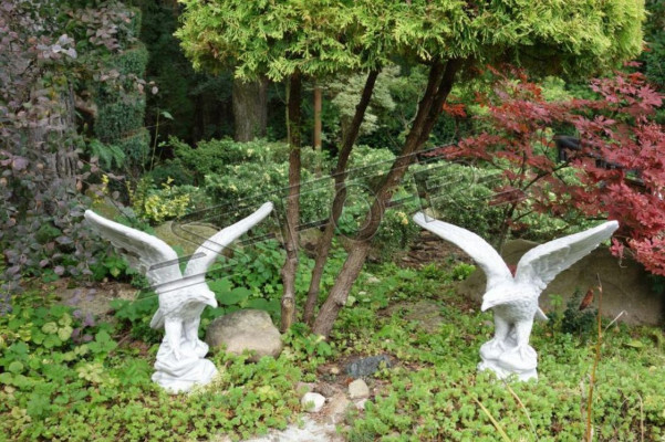 Figuur Arend Tuin Standbeeld Decoratieve Sculptuur Sculpturen Beelden Statuen