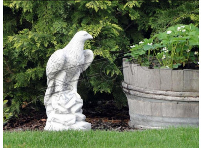 Beeld Adelaar Tuin Standbeeld Sculptuur Decoratieve Sculpturen Figuren Standbeelden