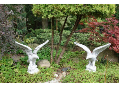Figuur Adelaar Tuin Standbeeld Sculptuur Sculpturen Decoratieve Beelden
