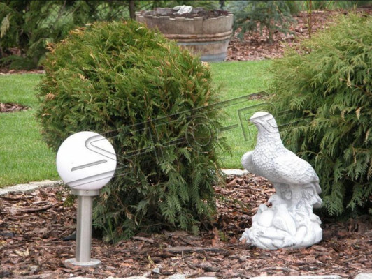 Figuur Adelaar Tuin Standbeeld Sculptuur Sculpturen Figuren Standbeelden Decoratie