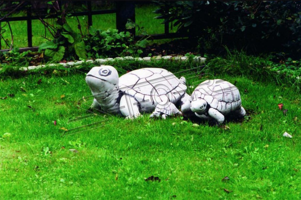 Tuindecoratie Schildpad Standbeeld Sculptuur Figuren Ontwerpsculptuur