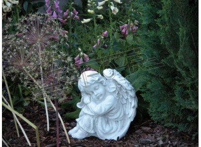 Tuindecoratie engel standbeeld sculptuur figuren sculpturen